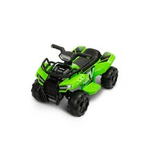 Laste elektriline neljarattaline Toyz Raptor, roheline hind ja info | Laste elektriautod | hansapost.ee