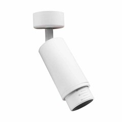 Потолочный светильник Milagro Spot Mica Zoom White цена и информация | Потолочные светильники | hansapost.ee