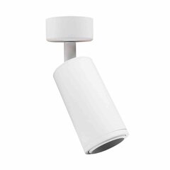 Потолочный светильник Milagro Spot Mica Zoom White цена и информация | Потолочные светильники | hansapost.ee