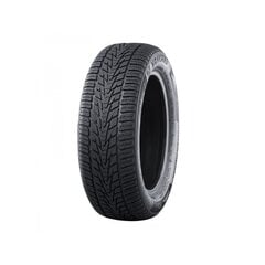 NANKANG SV-4 104 V XL 255/45R19 цена и информация | Зимние шины | hansapost.ee