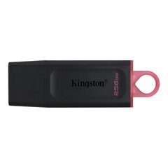 Kingston Exodia 256 GB USB 3.2 цена и информация | USB накопители данных | hansapost.ee