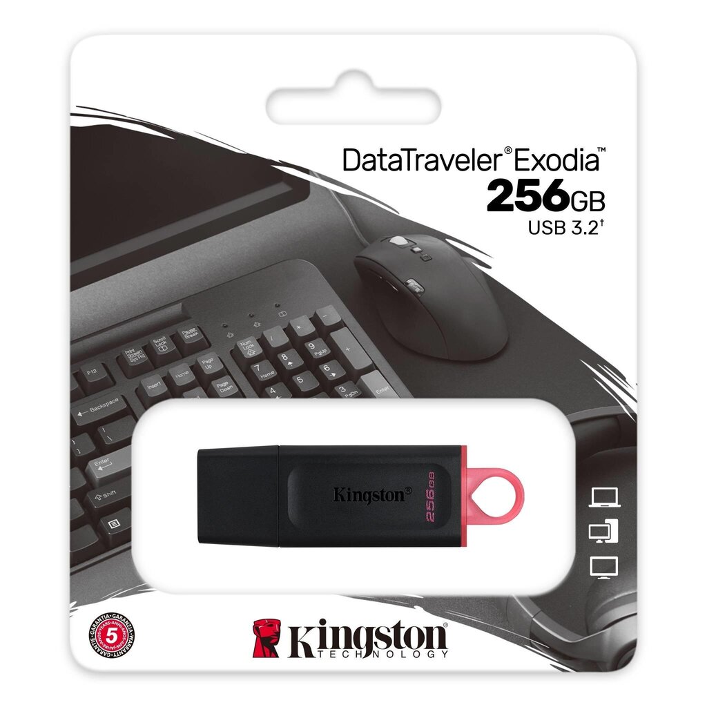 Kingston Exodia 256 GB USB 3.2 hind ja info | Mälupulgad | hansapost.ee