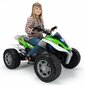 INJUSA BIG Quad Rage 24V Extreme alates 6 aastast kuni 50 kg цена и информация | Laste elektriautod | hansapost.ee