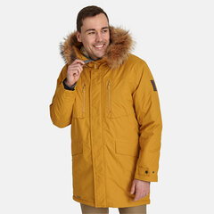 Мужская зимняя парка Huppa DAVID 1, золотисто-коричневый цена и информация | Мужские куртки | hansapost.ee