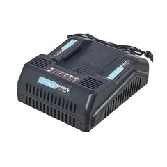 Зарядное устройство для быстрой зарядки Lexman Sterwins Up Dexter, 40V, 5A цена и информация | Дрели и шуруповёрты | hansapost.ee