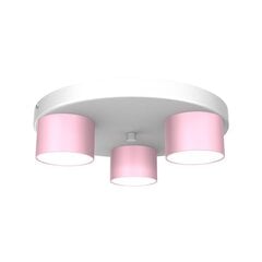 Milagro laelamp Dixie price and information | Ceiling lamps | hansapost.ee