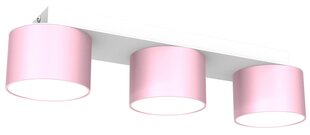 Laevalgusti DIXIE Pink/White 3xGX53 цена и информация | Потолочные светильники | hansapost.ee