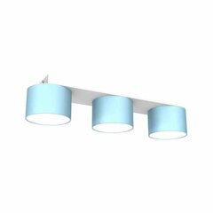 Milagro потолочный светильник Dixie Blue/White цена и информация | Потолочные светильники | hansapost.ee