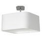 Laevalgusti NAPOLI WHITE/CHROME 1xE27 цена и информация | Laelambid | hansapost.ee