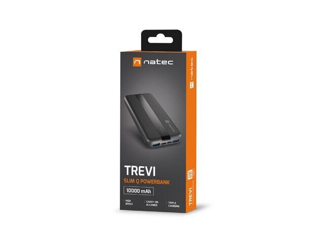 Natec PowerBank Trevi Slim Q 10000mAh 2x USB + USB-C цена и информация | Akupangad | hansapost.ee