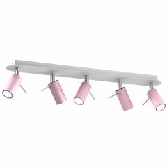 Milagro потолочный светильник Preston Pink цена и информация | Потолочные светильники | hansapost.ee