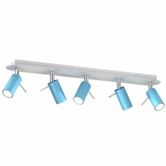 Milagro потолочный светильник Preston Blue цена и информация | Потолочные светильники | hansapost.ee