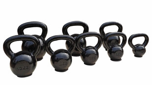 Sangpomm Toorx KGV, 8 kg price and information | Dumbbells, barbells, weights | hansapost.ee