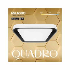 Потолочный светильник Eko-Light Quadro Black цена и информация | Потолочные светильники | hansapost.ee
