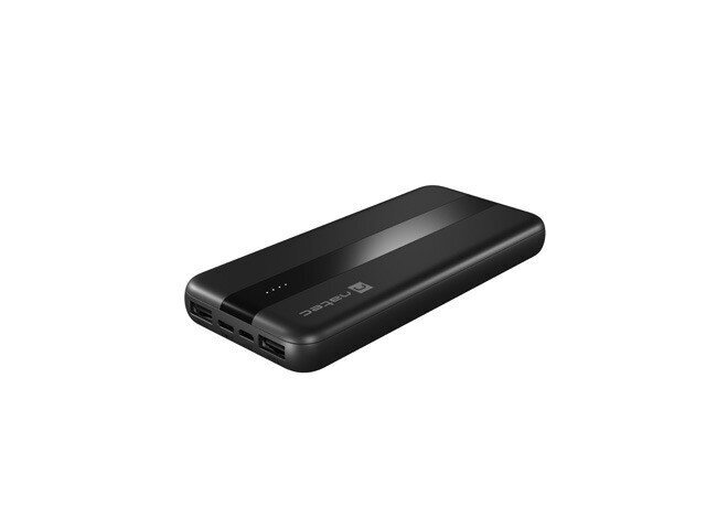 Natec PowerBank Trevi Slim 10000mAh 2x USB + USB-C hind ja info | Akupangad | hansapost.ee