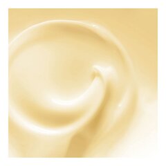 Taastav juuksemask Orofluido, 250 ml hind ja info | Orofluido Parfüümid, lõhnad ja kosmeetika | hansapost.ee