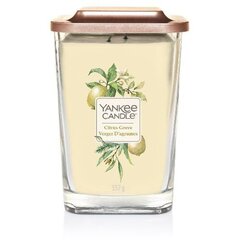 Yankee Candle Elevation Citrus Grove Candle - Scented candle 347.0g цена и информация | Подсвечники, свечи | hansapost.ee