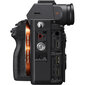 Sony täiskaader hübriidkaamera a7RM4A kere, must ILCE-7RM4AB : ILCE7RM4AB.CEC hind ja info | Fotoaparaadid | hansapost.ee