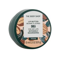 Huulepalsam The Body Shop Shea, 10 ml цена и информация | Помады, бальзамы, блеск для губ | hansapost.ee