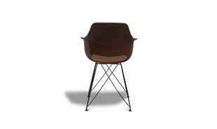 2 tooli komplekt Elvis, pruun цена и информация | Стулья для кухни и столовой | hansapost.ee