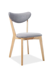 4-tooli komplekt Brando, tamm/hall värv hind ja info | Köögitoolid, söögitoolid | hansapost.ee
