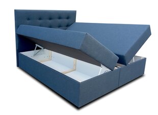 Кровать Platinum, 160x200x55 см, sawana 80 цена и информация | Кровати | hansapost.ee