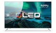 Allview Qled65ePlay6100-U цена и информация | Televiisorid | hansapost.ee