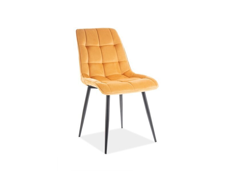 4 tooli komplekt Signal Meble Chic, kollane/must цена и информация | Köögitoolid, söögitoolid | hansapost.ee