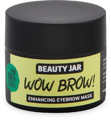 Kulmumask Beauty Jar Wow Brow! 15 ml hind ja info | Beauty Jar Parfüümid, lõhnad ja kosmeetika | hansapost.ee