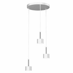 Подвесной светильник ARENA WHITE/SILVER 3xGX53 цена и информация | Потолочный светильник, 38 x 38 x 24 см | hansapost.ee