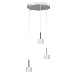 Подвесной светильник ARENA WHITE/GOLD 3xGX53 цена и информация | Потолочный светильник, 38 x 38 x 24 см | hansapost.ee