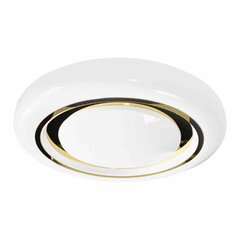 Laevalgusti MEGAN GOLD O480 mm 48W LED цена и информация | Потолочные светильники | hansapost.ee