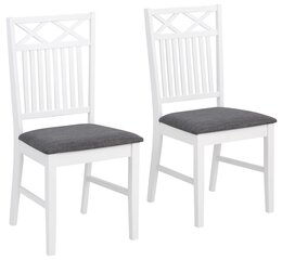 2-tooli komplekt Flik, valge/hall hind ja info | Köögitoolid, söögitoolid | hansapost.ee