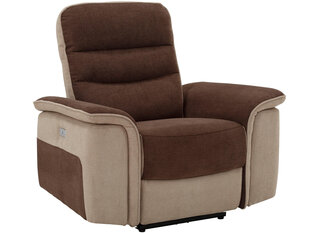 Кресло Notio Living Marshall, коричневый/песочного цвета цена и информация | Кресла для отдыха | hansapost.ee