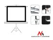 Maclean Projektsiooniekraan MC-680 112 "1: 1 std цена и информация | Projektori ekraanid | hansapost.ee