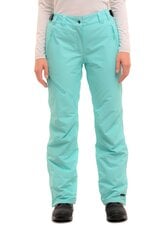 Женские лыжные брюки Icepeak CURLEW, зеленый цвет цена и информация | Женская лыжная одежда | hansapost.ee