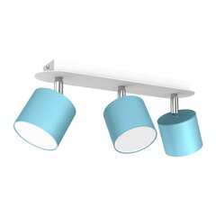 Потолочный светильник DIXIE BLUE/WHITE 3xGX53 цена и информация | Потолочные светильники | hansapost.ee