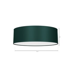 Milagro laevalgusti Verde Green price and information | Ceiling lamps | hansapost.ee