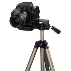 Штатив Hama Star 41750 цена и информация | Hama Видеокамеры, аксессуары | hansapost.ee