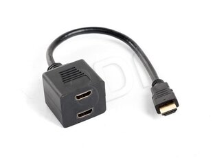 LANBERG AD-0019-BK цена и информация | Адаптеры и USB-hub | hansapost.ee