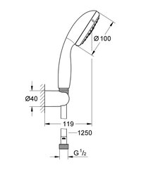 Grohe Tempesta 100 käsidušš hind ja info | Grohe Dušikabiinid ja lisatarvikud | hansapost.ee