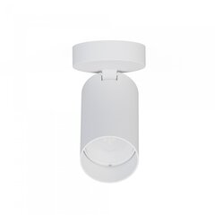 Laevalgusti Nowodvorski Mono 7807 price and information | Ceiling lamps | hansapost.ee