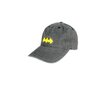 DC Batman With Yellow Logo nokamüts 9257 цена и информация | Mütsid, sallid ja kindad meestele | hansapost.ee