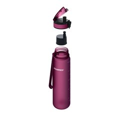 Бутылка с фильтром Aquaphor City, 500ml, вишневая цена и информация | Бутылки для воды | hansapost.ee