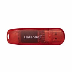 USB-pulk intenso Rainbow Line 128 GB hind ja info | Intenso Mälupulgad ja kõvakettad | hansapost.ee