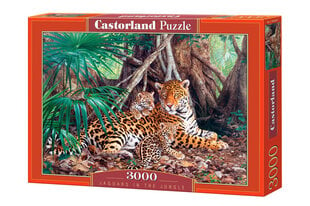 Pusle Castorland Puzzle Jaguars In The Jungle, 3000 osaline hind ja info | Pusled lastele ja täiskasvanutele | hansapost.ee