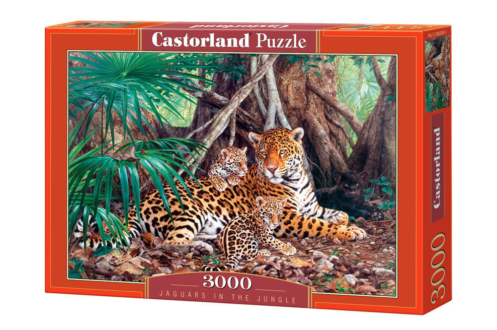 Pusle Castorland Puzzle Jaguars In The Jungle, 3000 osaline hind ja info | Pusled lastele ja täiskasvanutele | hansapost.ee