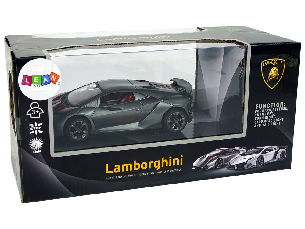 Nuotoliniu būdu valdomas sportinis automobilis Lamborghini, 2.4 G, 1:24, sidabrinis цена и информация | Mänguasjad poistele | hansapost.ee