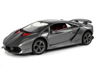 Спортивный автомобиль с дистанционным управлением Lamborghini, 2.4G, 1:24, серебристый цена и информация | Игрушки для мальчиков | hansapost.ee
