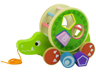 Puidust sorteerija nööriga, krokodill цена и информация | Игрушки для малышей | hansapost.ee